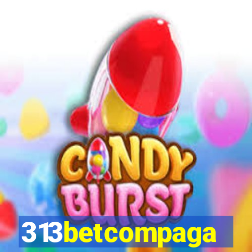 313betcompaga