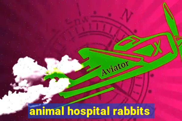 animal hospital rabbits