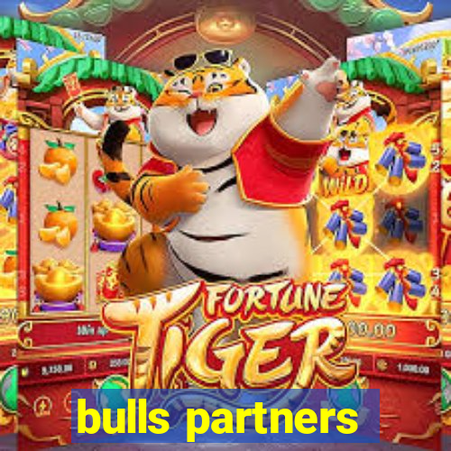 bulls partners