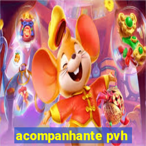 acompanhante pvh