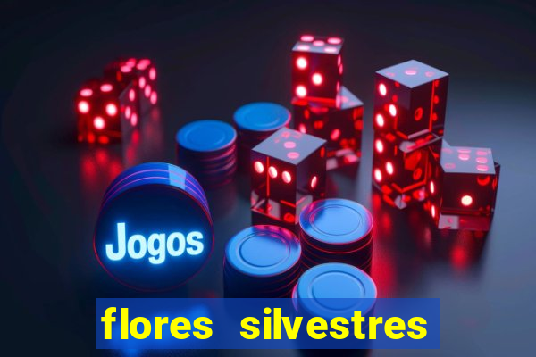 flores silvestres desbravadores desbravadores 25 flores silvestres e seus nomes