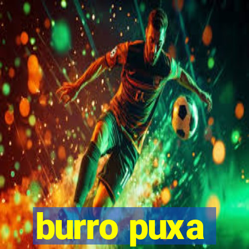 burro puxa