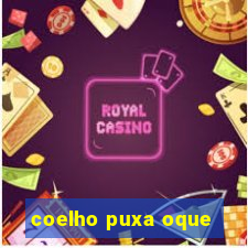 coelho puxa oque