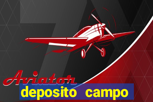 deposito campo grande santos