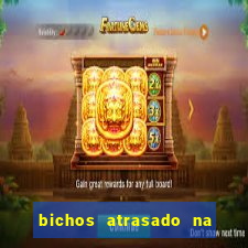 bichos atrasado na loteria dos sonhos