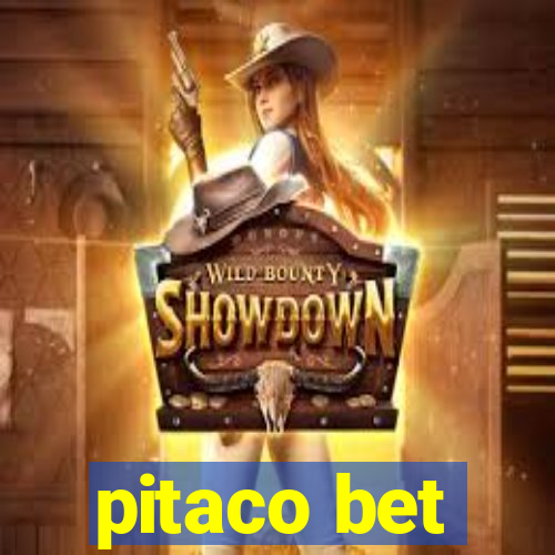 pitaco bet